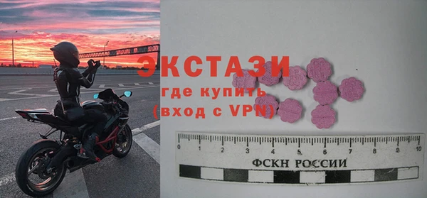 сатива Бородино