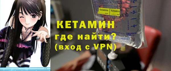 сатива Бородино