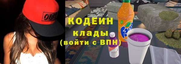 дурь Бронницы