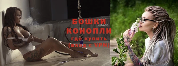 дурь Бронницы