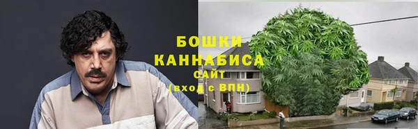 сатива Бородино