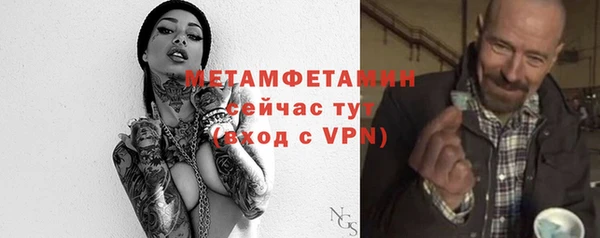 сатива Бородино