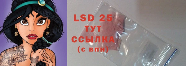 сатива Бородино