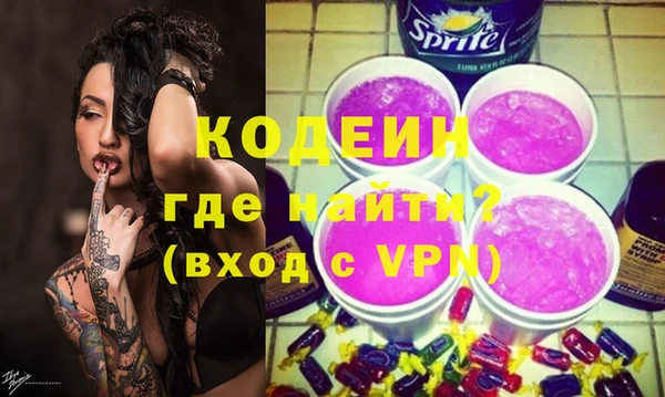 сатива Бородино