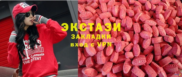 сатива Бородино
