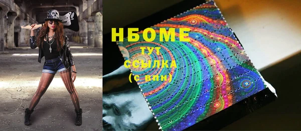 сатива Бородино