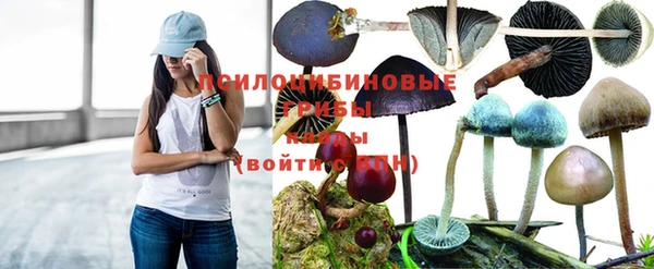 бутират Дегтярск