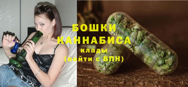 сатива Бородино