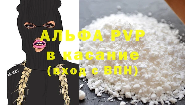 сатива Бородино