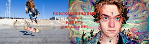 сатива Бородино