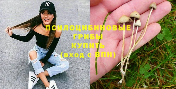 дурь Бронницы